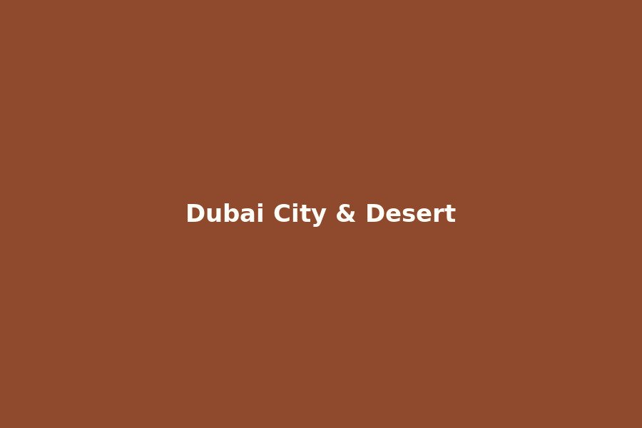 Dubai City & Desert Package